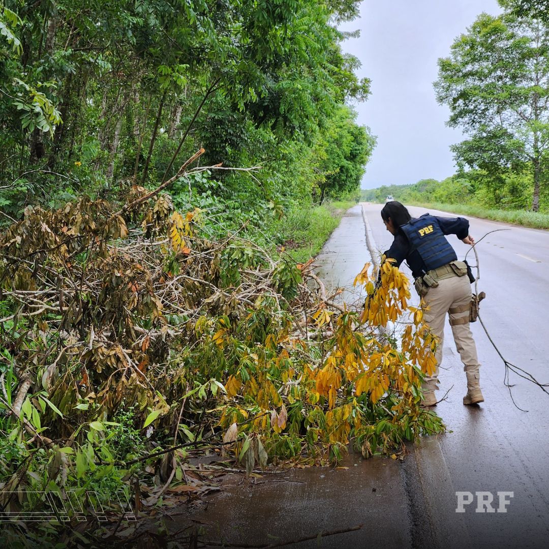 Foto: reprodução-PRF AP