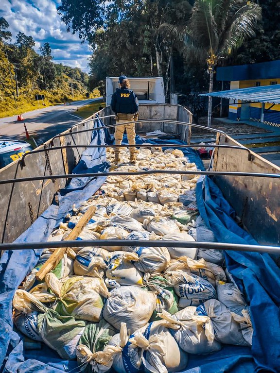 Foto de Natália (1).jpg