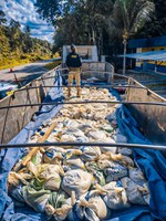 Equipe da PRF apreende cerca de 10 toneladas de cassiterita na BR-174