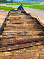 Equipe da PRF apreende madeira ilegal em Humaitá-AM