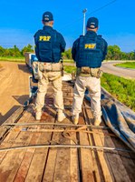 PRF apreende madeira ilegal em Humaitá-AM