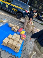 Prejuízo ao crime organizado, PRF-AM apreende mais de meia tonelada de drogas em Manaus