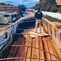 Equipe da PRF apreende cerca de 16 m³ em Humaitá/AM