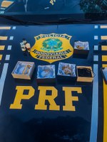 PRF-AM apreende ouro e anabolizantes na BR-174