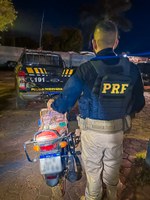 PRF-AM flagra motociclista transportando pássaro silvestre