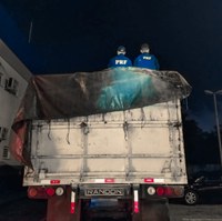 PRF apreende madeira transportada ilegalmente no Amazonas