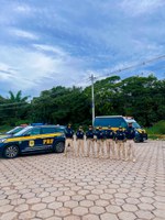 PRF realiza Operação Rosas de Aço no Amazonas