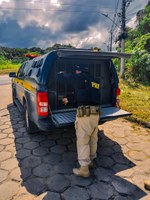 Em ação conjunta, PRF prende três homens por estupro em Itacoatiara/AM