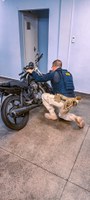 Homem é detido com motocicleta adulterada