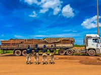 PRF apreende carga de madeira serrada transportada com documento irregular no Amazonas