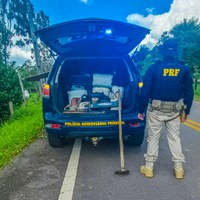 PRF flagra desmatamento e uso ilegal de agrotóxicos na BR-319