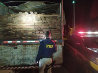 Em Humaitá, PRF identifica transporte irregular de madeira