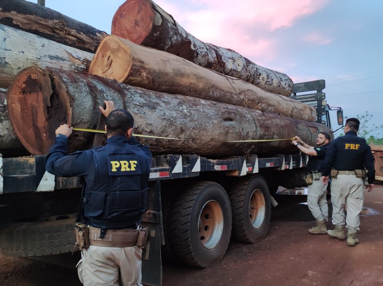 Apreensão de madeiras