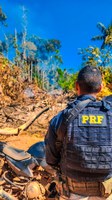 Homens são presos por crimes ambientais durante ação da PRF na BR-319