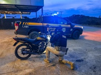 Motocicleta com restrição de roubo é recuperada pela PRF na BR-319