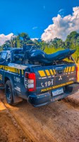 Motocicleta com sinais de adulteração é encontrada abandonada na BR-319