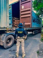 PRF apreende carga irregular de madeira na BR-174