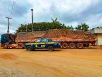PRF apreende madeira irregular durante fiscalização na BR-319