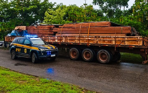 PRF apreende mais de 30 m³ de madeira transportada de forma irregular na BR-319