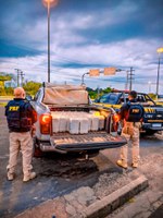 PRF apreende veículo com carga irregular de produtos perigosos na BR-174