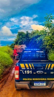 PRF flagra transporte irregular de madeira na BR-319