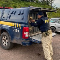 PRF prende homem com mandado de prisão em aberto por estupro em Manaus