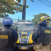 Operação Cyaneus: PRF e GCMS apreendem maconha durante abordagem a ônibus na BR 324