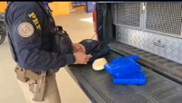 PRF apreende 5kg de cocaína durante abordagem a ônibus em Vitória da Conquista (BA)