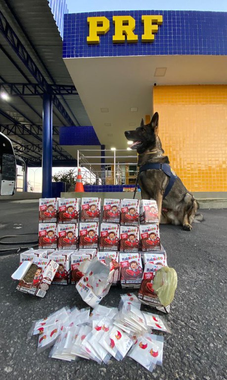 WhatsApp Image 2022-12-08 at 06.39.30 (1).jpeg