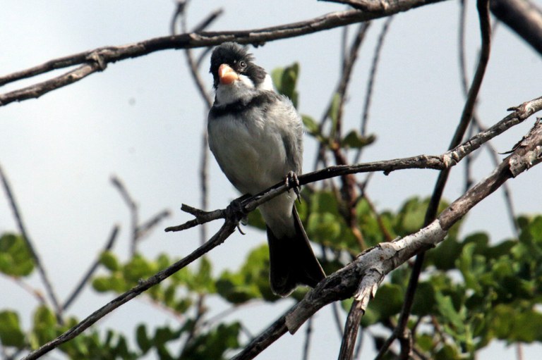 WhatsApp Image 2022-11-28 at 12.48.45.jpeg