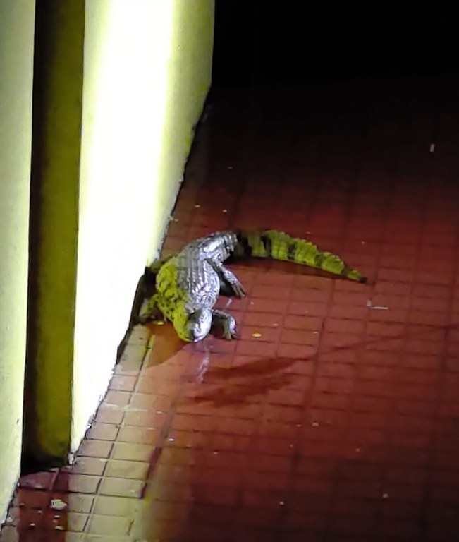 WhatsApp Image 2022-12-16 at 10.39.34.jpeg