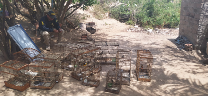 Captura de tela 2022-11-30 110631.png