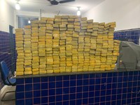Ação conjunta resulta na apreensão de 310 kg de maconha em Conceição do Almeida (BA)