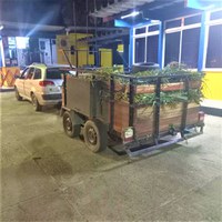 PRF apreende 2.000 caranguejos transportados irregularmente no Extremo Sul da Bahia; veja vídeo