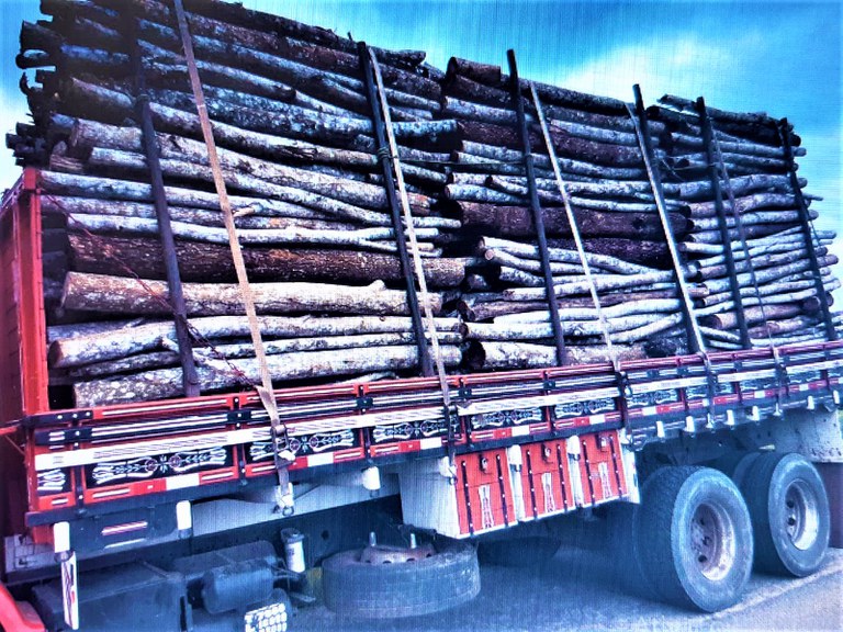 As cargas de madeira necessitam ser acompanhadas de nota fiscal e documento de origem florestal ou guia florestal. Qualquer irregularidade entre os documentos ou entre eles e a carga, tornam os documentos inválidos e a carga ilegal.