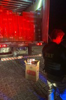 PRF apreende 450.000 maços de cigarros contrabandeados em Tucano (BA)