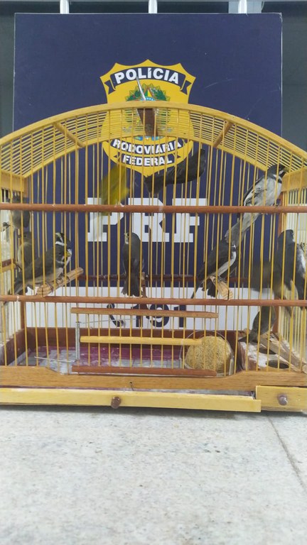 WhatsApp Image 2022-09-28 at 19.07.59.jpeg