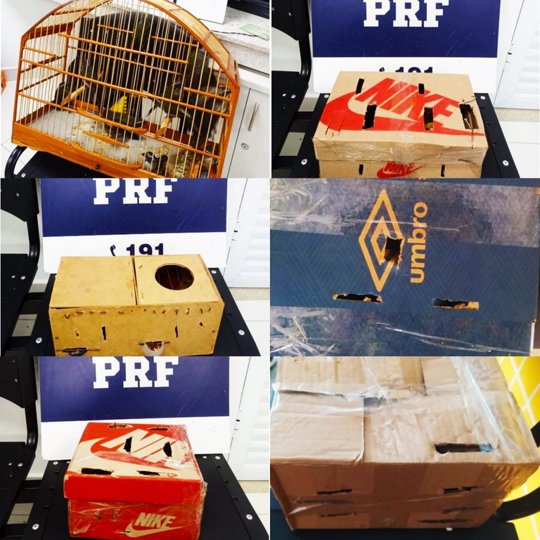 WhatsApp Image 2023-08-19 at 04.18.50.jpeg