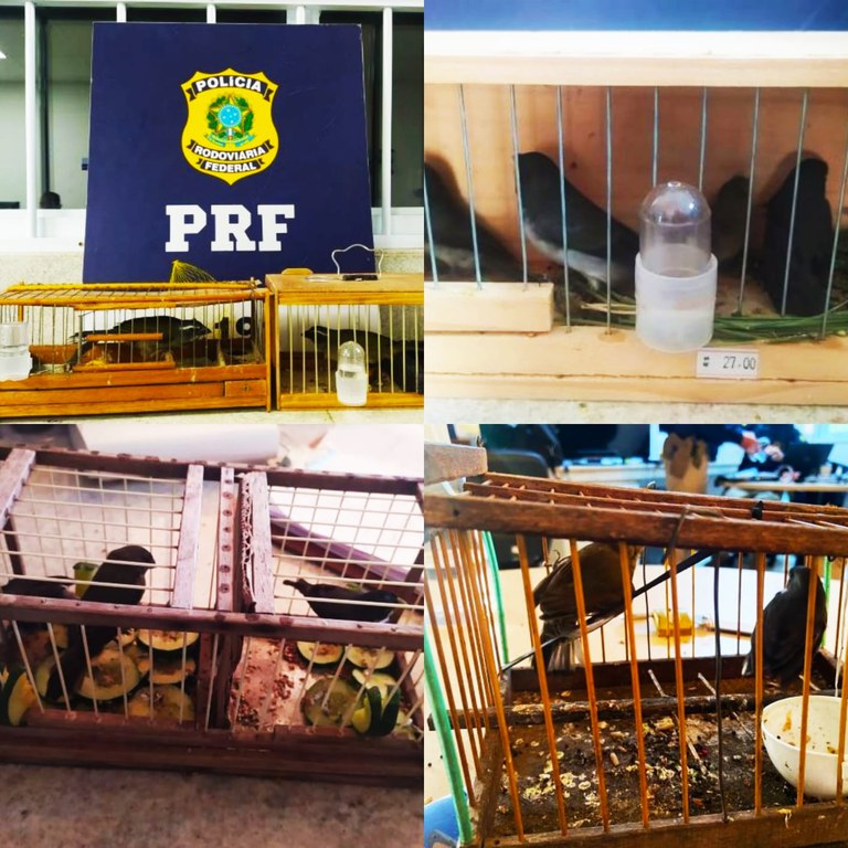 WhatsApp Image 2023-08-17 at 12.25.13.jpeg