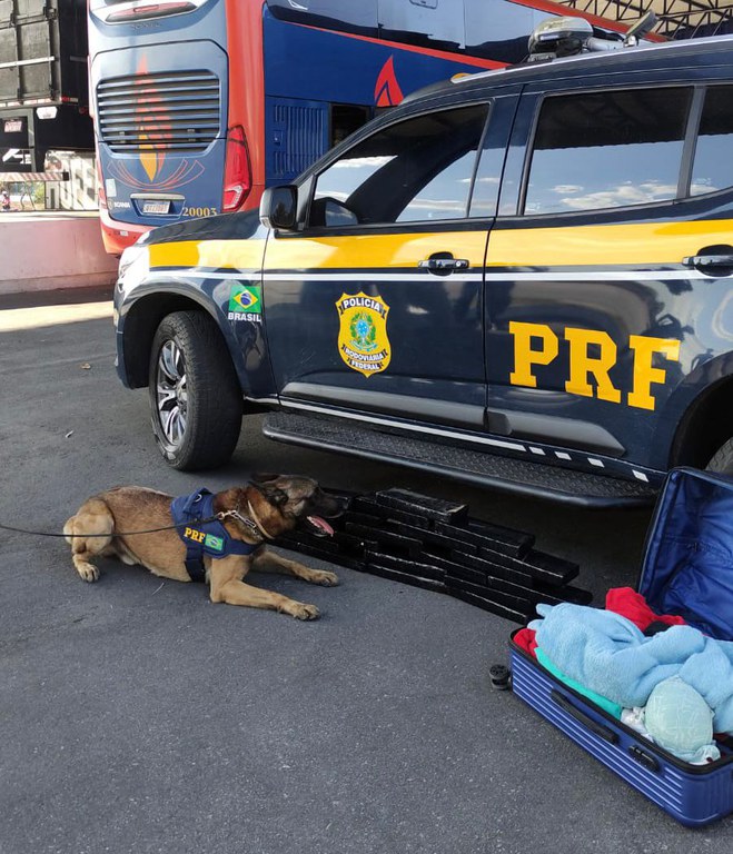 WhatsApp Image 2023-08-28 at 13.19.08.jpeg