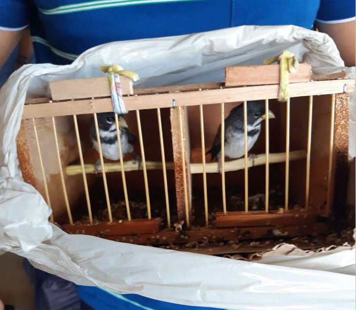 WhatsApp Image 2023-08-28 at 11.19.35.jpeg