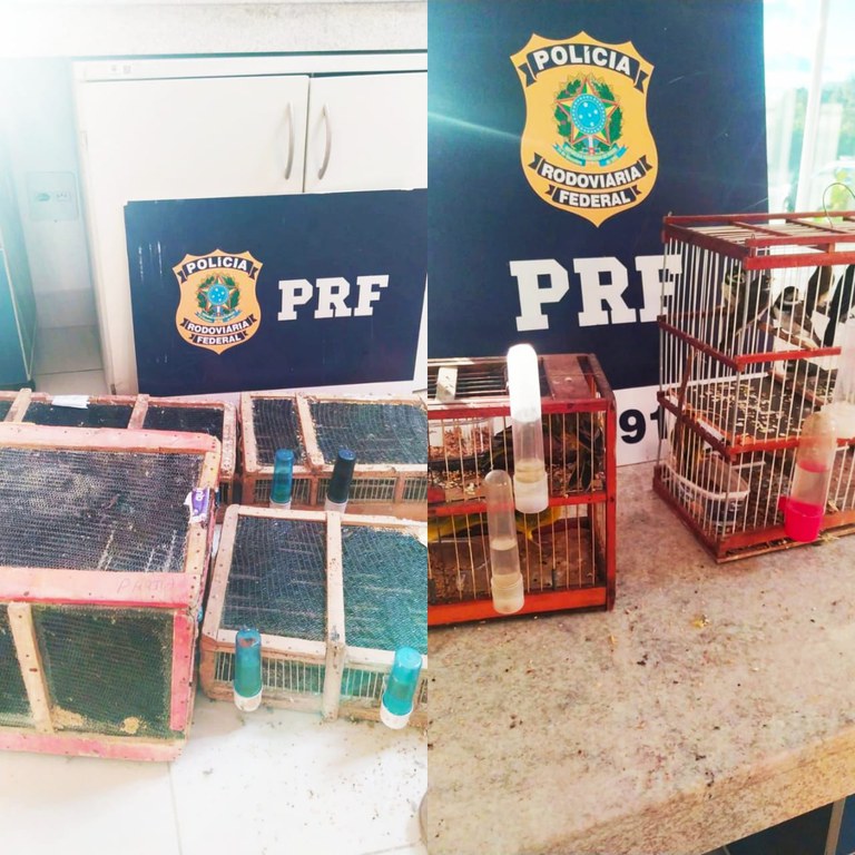 WhatsApp Image 2023-08-10 at 08.57.26.jpeg