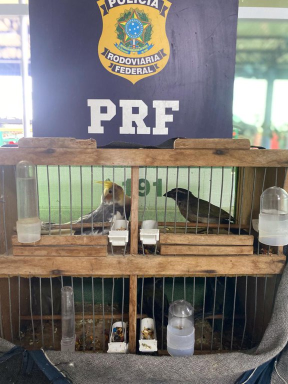 Vale ressaltar que é crime a caça predatória, o tráfico e a criação ilegal de animais silvestres.