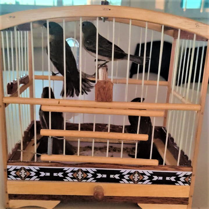 Vale ressaltar que é crime a caça predatória, o tráfico e a criação ilegal de animais silvestres.