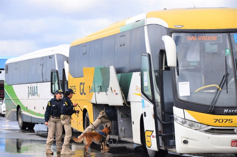 WhatsApp Image 2023-01-17 at 10.11.20.jpeg