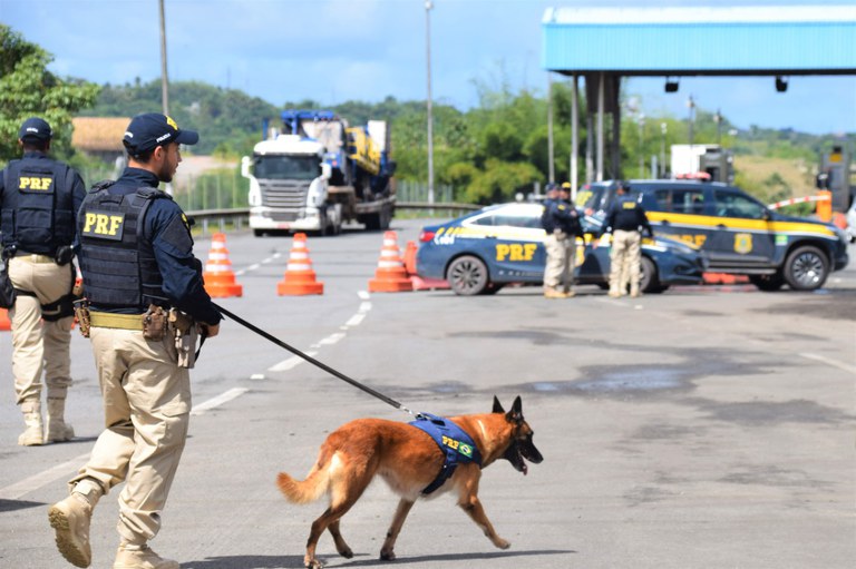 WhatsApp Image 2023-01-17 at 10.11.21.jpeg