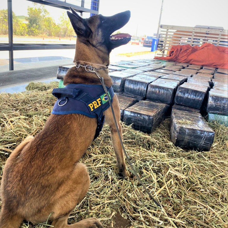 WhatsApp Image 2023-01-17 at 10.11.22 (1).jpeg