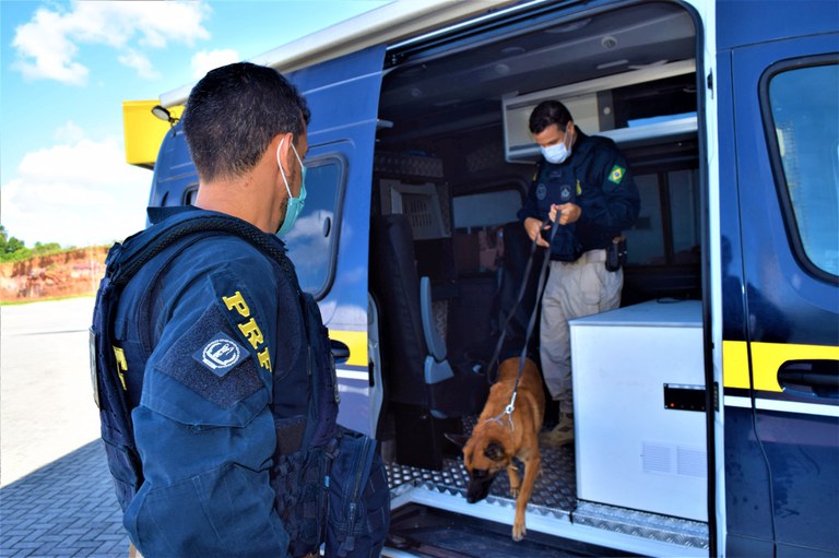 WhatsApp Image 2023-01-17 at 10.11.22.jpeg