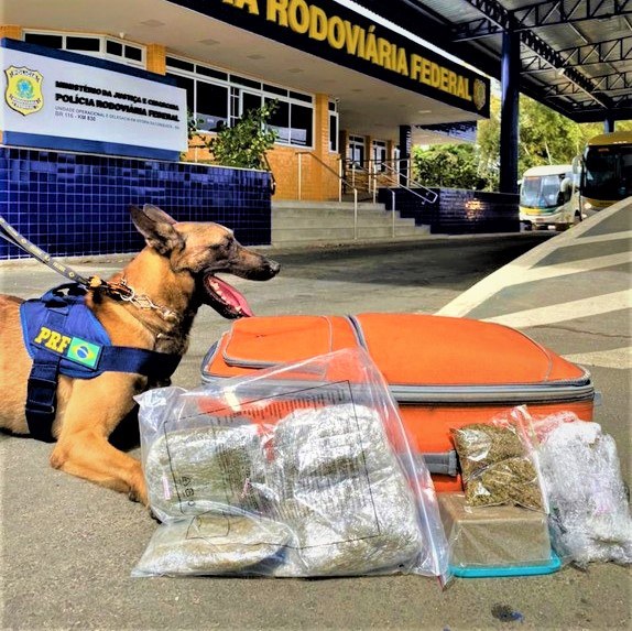 WhatsApp Image 2023-01-17 at 10.11.23 (1).jpeg