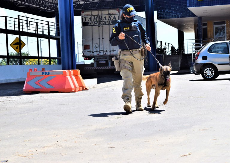 WhatsApp Image 2023-01-17 at 10.11.23 (2).jpeg